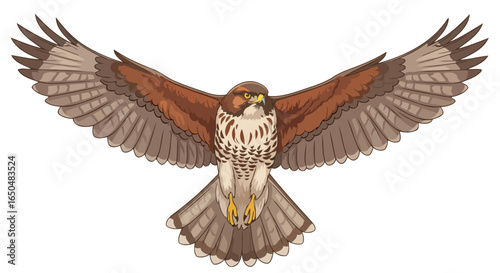 majestic hawk in flight transparent background vector illustration
