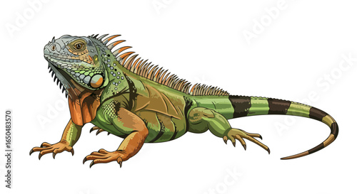vibrant green iguana illustration transparent background for design projects
