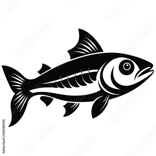 Highly detailed minnow fish vector illustration in black and white