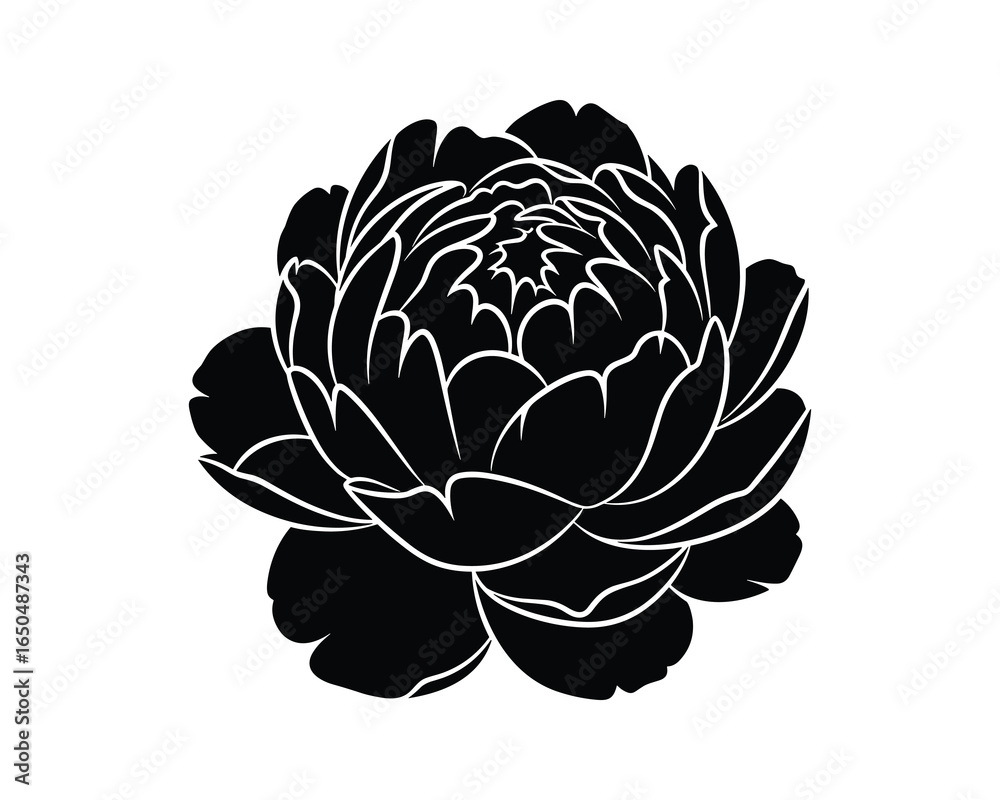 Obraz premium Elegant black and white peony illustration. Great for decorative purposes, design element, vector illustration.