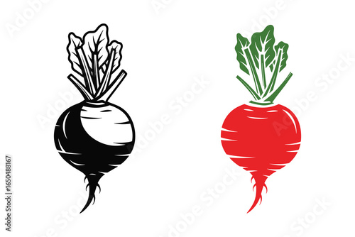 Two stylized beetroot vegetables. One in black silhouette, the other in red and green color. Vector art.