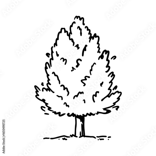 Leafy tree isolated on a white background. Landscape sketch. Vector hand-drawn illustration in outline style. Perfect for cards, decorations, logo, nature-themed designs.