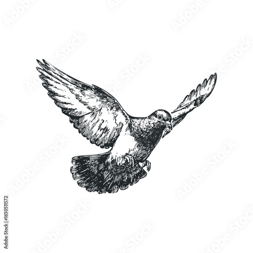 Sketch of a Pigeon in Mid-Flight with Detailed Wings and Body