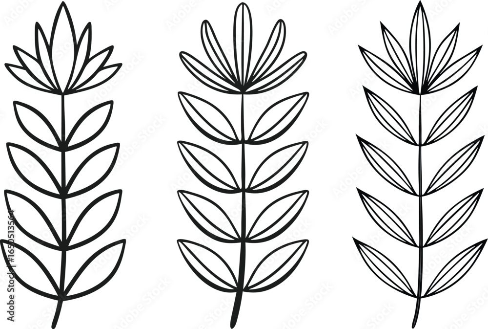 Fototapeta premium Three simple hand drawn black and white floral botanical illustrations on a white background