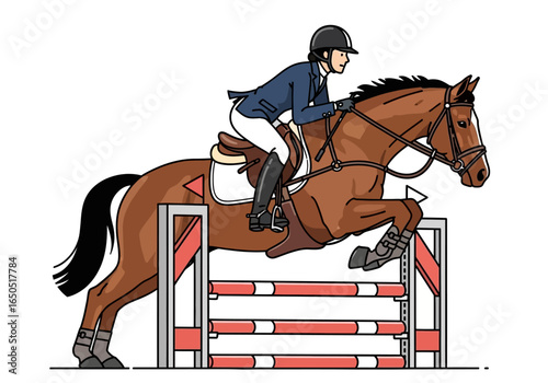 Horse and rider clear jump horse brown rider in blue jacket and helmet