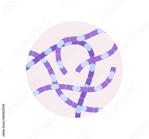 Anthrax bacterium Bacillus anthracis in microscope circle view. The infection caused by bacterium. Rod shapes with spores bacteria. Flat vector illustration.