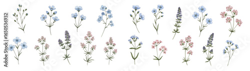 A collection of illustrated floral arrangements in soft pastel colors, perfect for design projects.