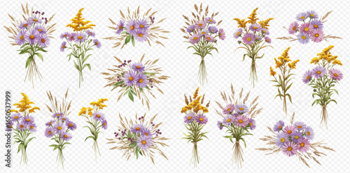 A collection of beautiful rustic bouquets featuring purple asters, yellow goldenrod, and wild grasses on a transparent background.