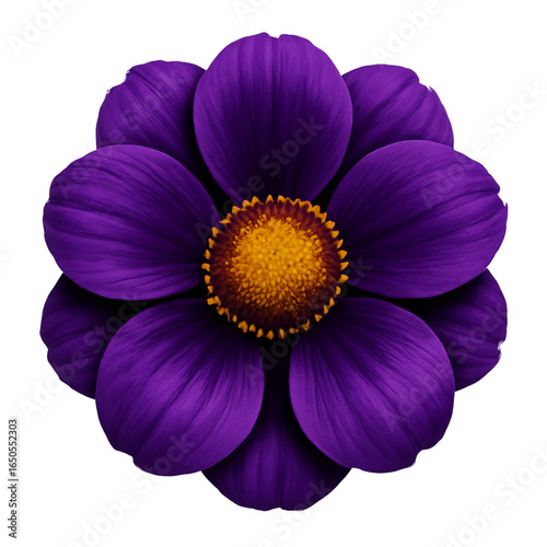 Vibrant Purple Dahlia Flower Close-up Isolated on White Background Stunning Petals and Yellow Center High-Resolution Nature Photography