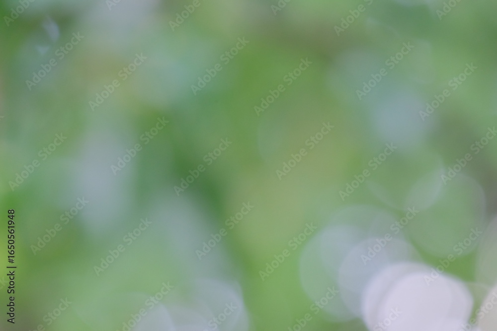 Fototapeta premium Soft green bokeh background with blurred circular shapes creating a dreamy atmosphere, ideal for design projects and nature-themed compositions with copy space