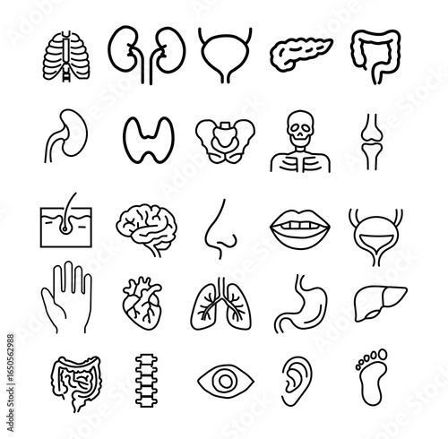 A grid of simple, sketchy drawings depicting various human organs and body parts, presented in a clean, illustrative style.