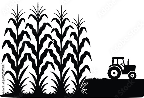 Tractor with cornfield silhouette illustration