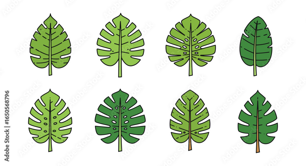 Obraz premium Tropical leaf collection with black outline in various shades of green