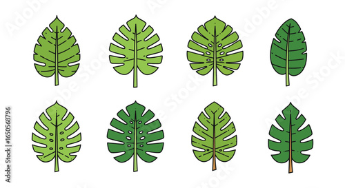 Tropical leaf collection with black outline in various shades of green