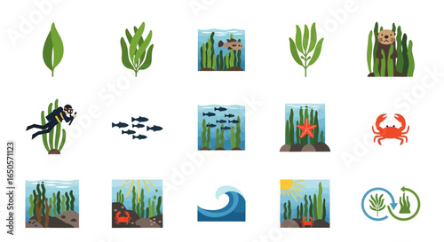 A diverse set of flat vector icons depicting a kelp forest ecosystem, marine life, and various ocean elements.