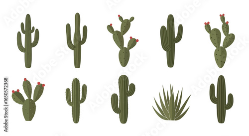 Assorted Green Cactus Plants with Red Fruits and Spiky Texture