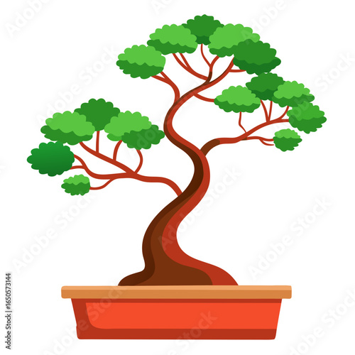 bonsai tree on white background