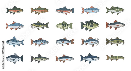 Assortment of Colorful Cartoon Fish Illustrations with Varied Fin Shapes and Patterns