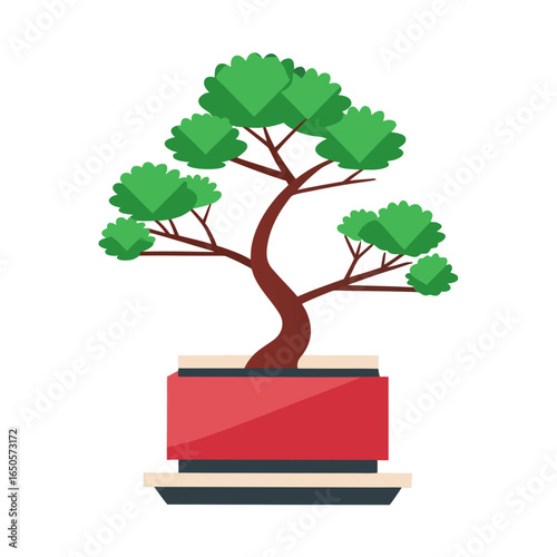 bonsai tree on white background