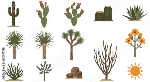 Collection of Stylized Desert Plants and Elements, Including Cacti, Succulents, and Joshua Tree Illustrations.
