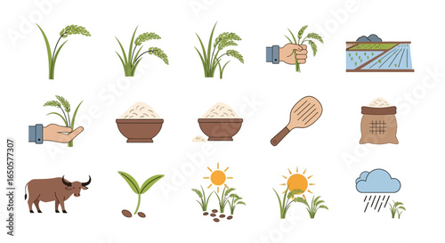 Collection of stylized illustrations depicting rice cultivation and harvest