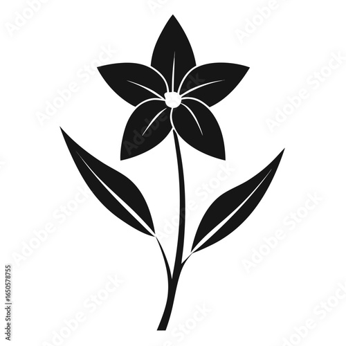 ipheion uniflorum charlotte bishop silhouette vector -on white