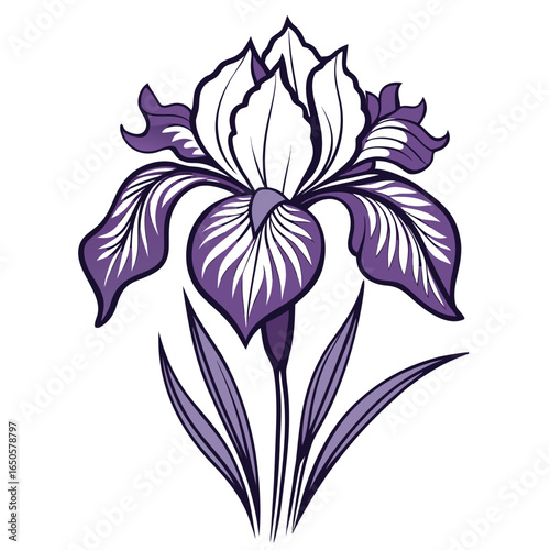  iris siberian  line art vector illustration  on white background