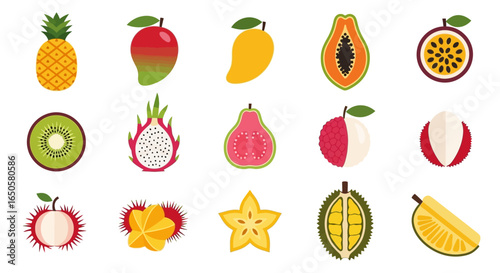 Colorful Vector Illustrations of Various Exotic Fruits, Isolated on White