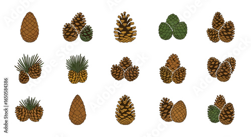 Various Detailed Illustrations of Pine Cones with Different Styles and Colors