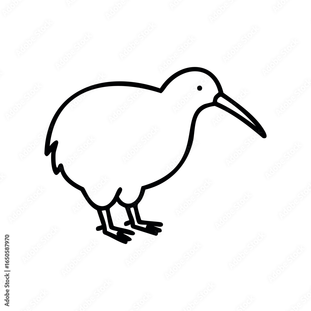 Fototapeta premium Black and white outline of a kiwi bird standing side view
