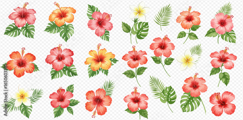 A beautiful collection of hand-painted watercolor hibiscus flowers and tropical leaves, isolated on a transparent background.