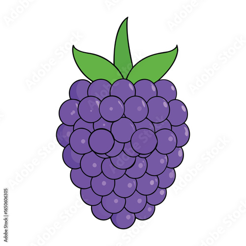 Blackberries are juicy, dark purple-black berries with a sweet-tart flavor. Packed with vitamins, fiber, and antioxidants, they’re perfect for snacking, baking, or smoothies.
