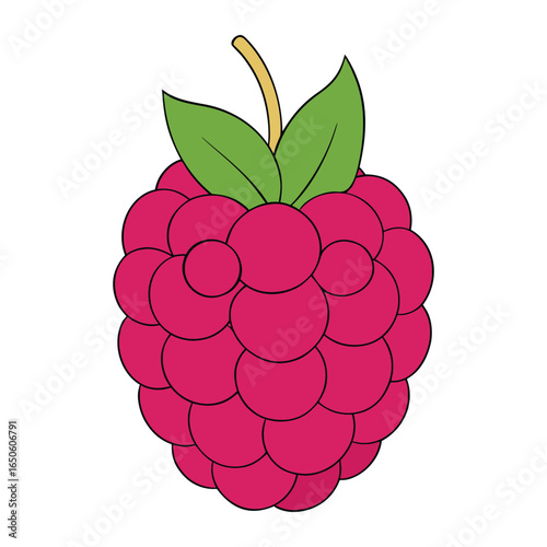 A vibrant close-up of a raspberry, showcasing its juicy red drupelets, velvety texture, and natural shine, highlighting freshness and delicious summer sweetness.
