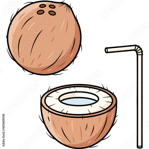 Cartoon illustration of a fresh tropical coconut, whole and cut in half with a drinking straw for a refreshing summer beverage.