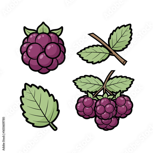 Illustration of Fresh, Ripe Blackberries and Leaves for Healthy Eating and Design