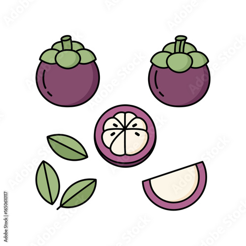 Colorful illustrations of exotic mangosteen fruit, depicting whole, half, and sliced purple mangosteens with fresh green leaves. Ideal for healthy food and tropical-themed design.