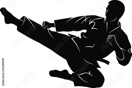 Silhouette of a man practicing karate kick, a dynamic display of martial art, fitness, and selfdefense in a powerful action shot
