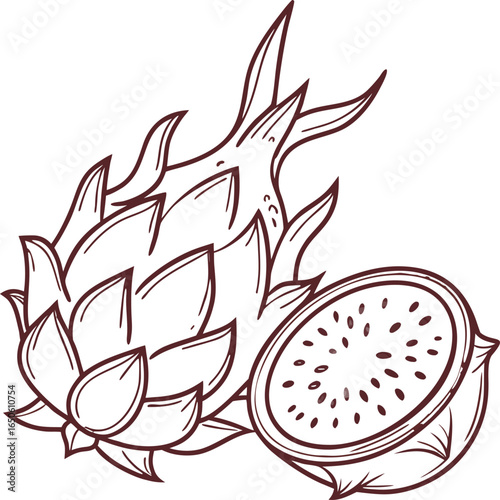 Fire and spring floral design with a dragon fruit and fig vector illustration