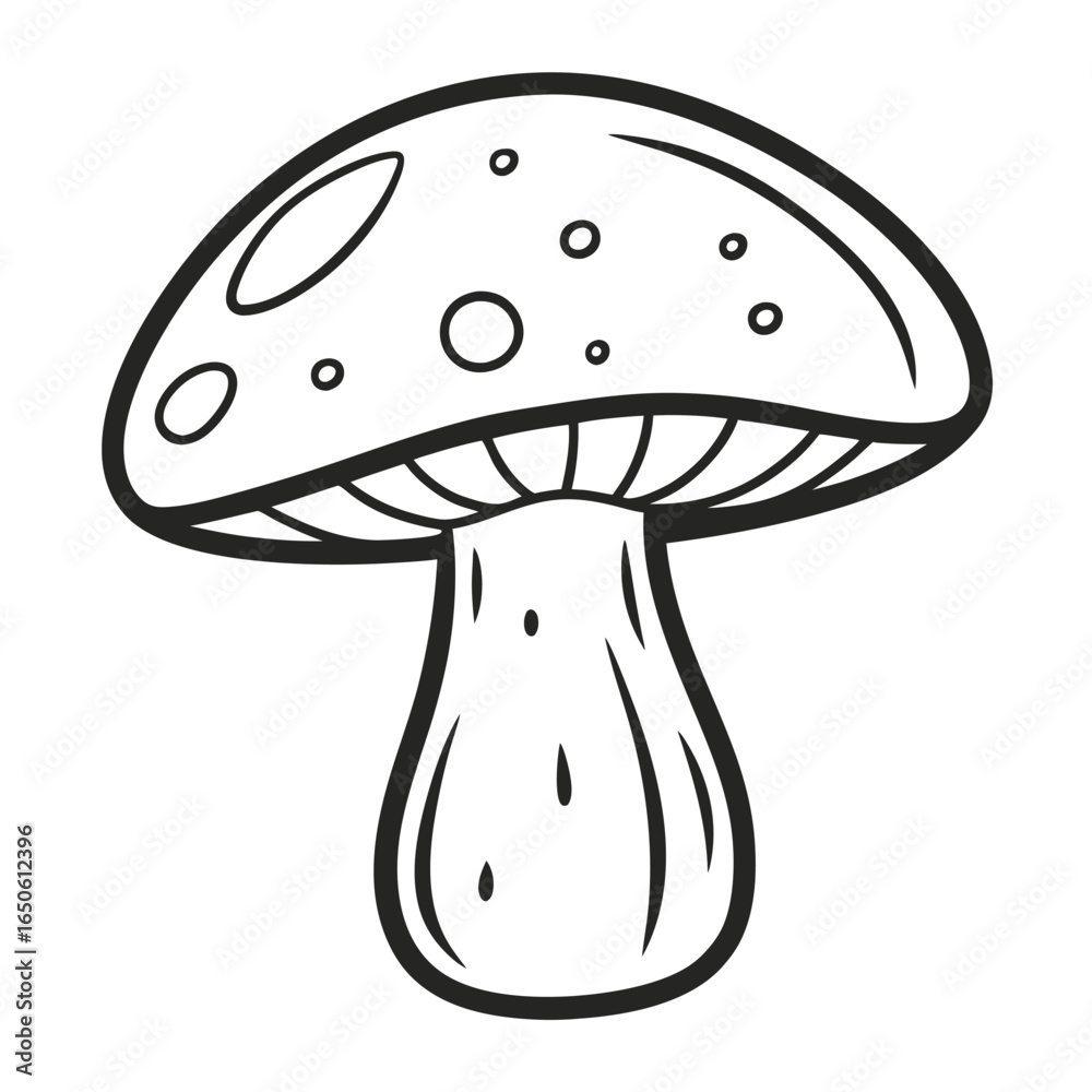 Collection Bundle Mushroom healthy food engraved Hand Drawn Outline illustration on white background Collection Bundle Mushroom healthy food engraved Hand Drawn Outline illustration on white background
