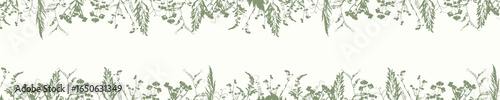 Horizontal banner with border meadow flowers and grass, green ink silhouette. Herbal background. Herbarium. 