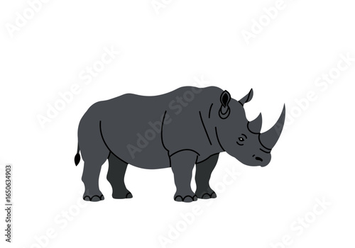 A gray rhino stands showcasing its thick skin and prominent horns against a stark white background