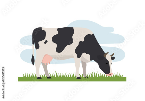 Black  white cow grazes in a field under cloudy sky