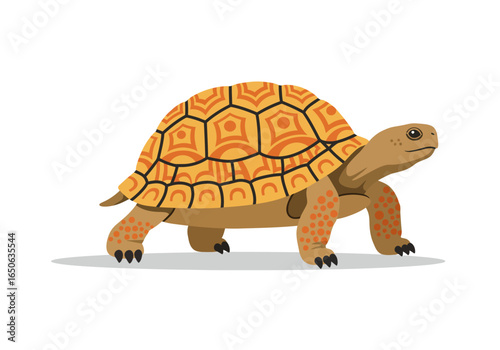 Illustrated turtle with an orange patterned shell walking on a light gray surface isolated against a white background