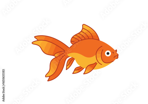 Orange goldfish with large fins  tail white eyes small mouth