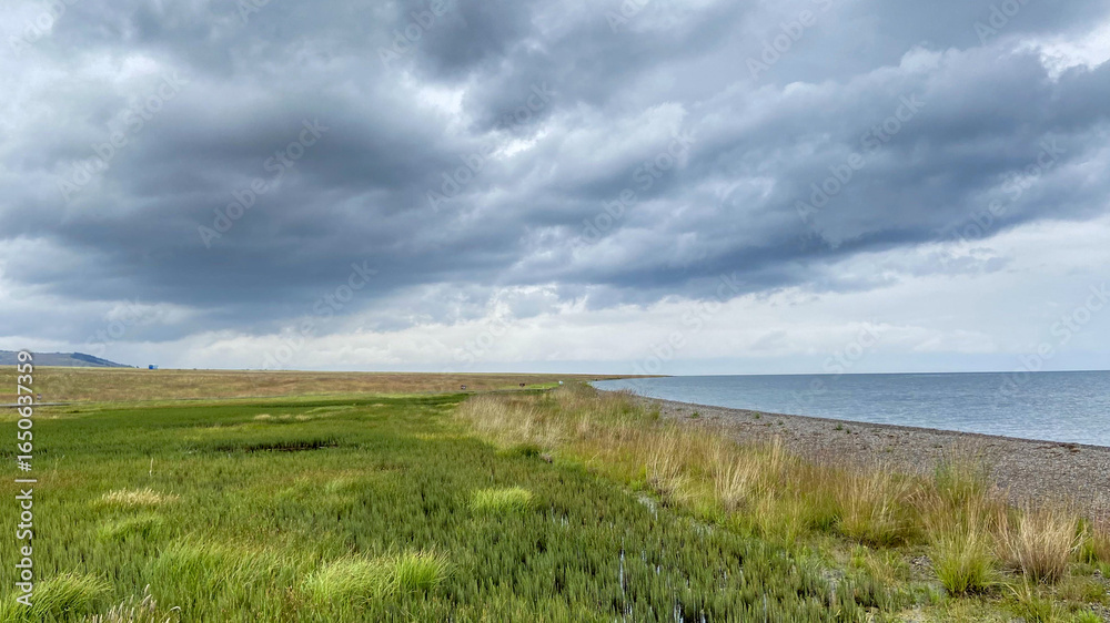 Fototapeta premium Stormy Sky Over Coastal Grasslands
