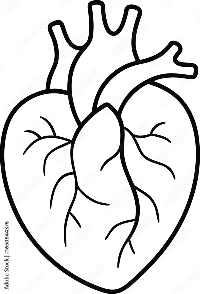 Obraz premium Human Heart Anatomy Illustration outline icon. Perfect for Medical, Health, and Science Projects.