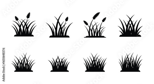 Silhouette Set of Various Grass and Reed Plants