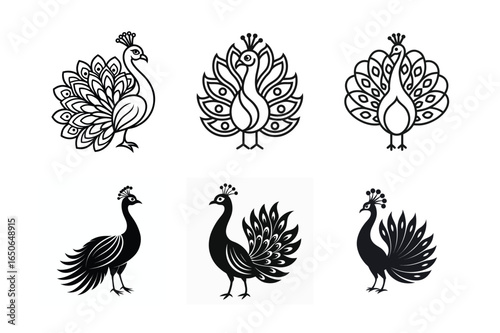 Peacock line art and silhouette vector icon set