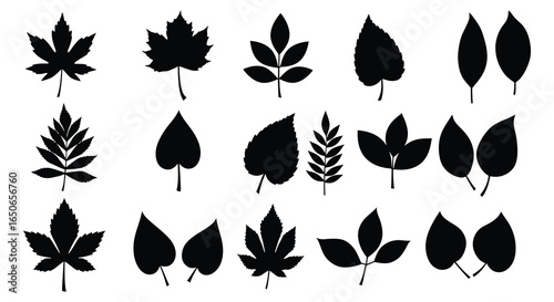 Collection of various leaf silhouettes in different shapes and sizes
