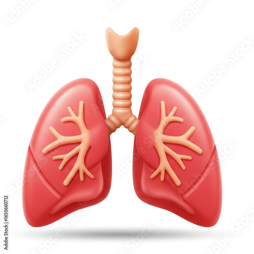 Realistic 3D model of healthy human lungs, perfect for medical education and healthcare visuals